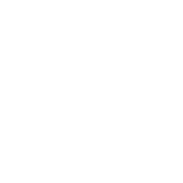 premium-services