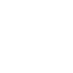 premium-services