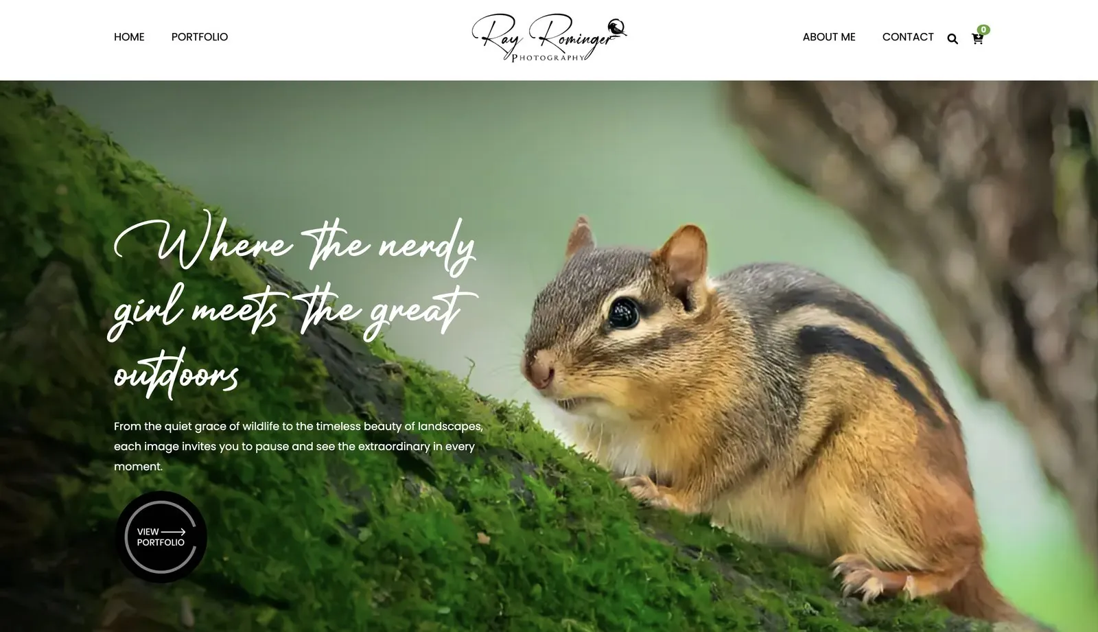 Homepage with a chipmunk on mossy bark and the headline Where the nerdy girl meets the great outdoors
